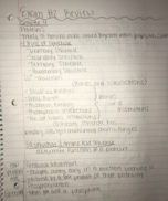 Study Guide for Exam 2