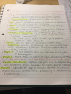 BIO 1100