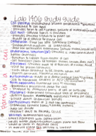BIOL1406 Lab Notes Part 1