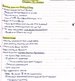 American Judicial System; Week 6 Notes
