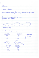 Biology week 6