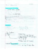 Music Theory I 1213 