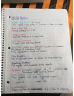 Mus 205 Class Notes