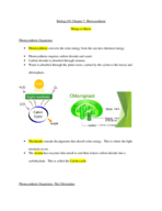 Biology 101 Chapter 7: Photosynthesis