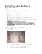 Biol 305 Muscles Lectures 1 & 2