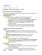 week 4 notes genetics