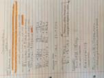 Japanese Oral Midterm Exam 