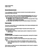 Chapter 5 Study Guide