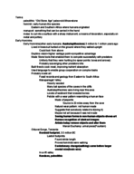 ARTH 115: Study Guide Midterm 1