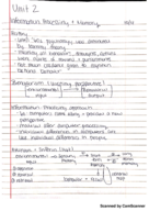 Psych of Human Development Week 8 Notes