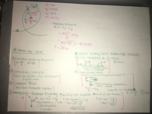 Notes about Exam 1 and Study reference Sheet
