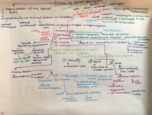 Exam 2 Study Guide 
