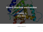 Chapter 4 Protein Structure and Function
