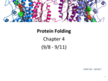 Chapter 4 Folding Proteins