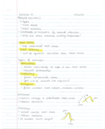 BIS 2B- Schmitt + Schreiber- Lecture 12 Notes 
