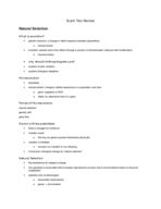 Exam 2 Study Guide
