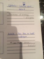 Notes for Ch. 4, 5, 6.