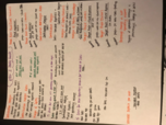 Exam 2 Study Guide