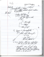 Week 7 Notes 8/10/17