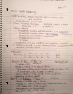 Capital Budgeting