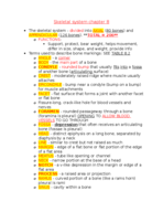 BIOL 2203 Chapter 8 Skeletal system