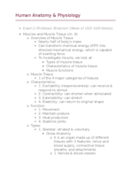 Anatomy Week 7 Notes