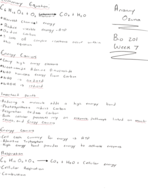 Bio 201 Week 7