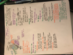Midterm 2 Study Guide