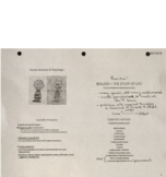 A&P Week 1 - Notes and Outline