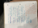 Soc 101 week 5 notes 
