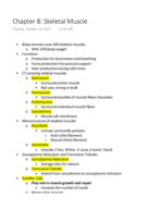 Chapter 8 Skeletal Muscles Notes