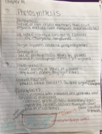 Photosynthesis Chapter 14 Processes 
