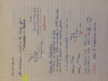 ECON 303, Week 4 Notes