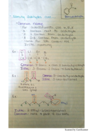 Exam 2 notes 