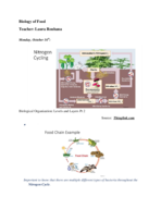Biology of Food Week 8