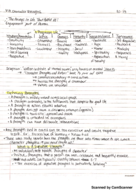 Character Strengths & Virtues Notes