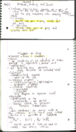 Chapter 7 notes parts 1 and 2.