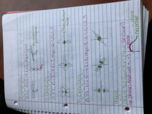 Chapter 7 - Quantum Mechanics 