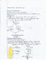 Biochemistry Section8 Notes