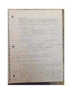 Week 8 Notes