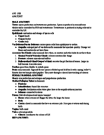 AVS 1500- Animal Anatomy