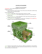 CH29-PLANT TRANSPORT