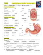 Med terms week 4