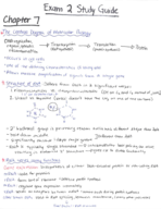 Cell Biology Exam 2 Study Guide