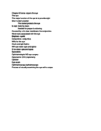 Sensory organs The eye