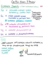 Cell Biology Exam 3 Study Guide