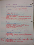 Week 8 notes