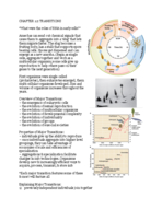 CH 12 LECT NOTES: "TRANSITIONS"
