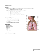 Anatomy Test 4