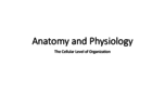 Anatomy and Physiology
